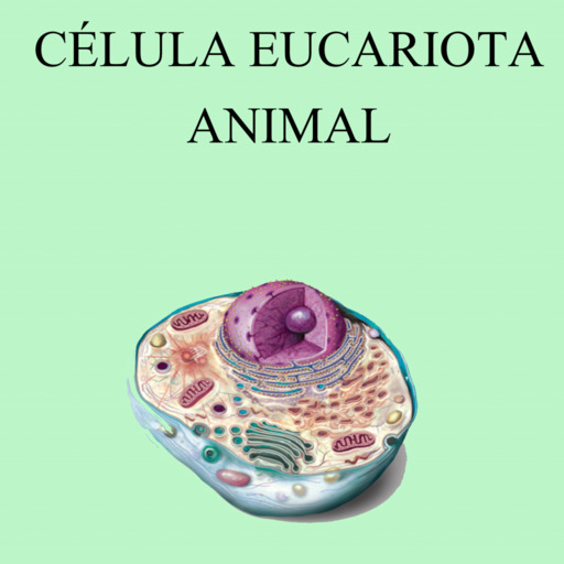 celula eucariota