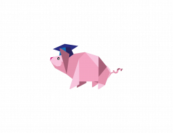 PIG 2