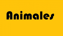 Animales y sus características
