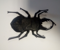 escarabajo 3d