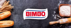 Diagrama de flujo BIMBO