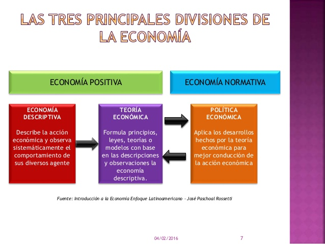 Divisiones de la economía