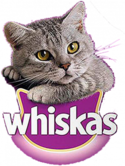 Proyecto Whiskas