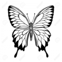 mariposa jupiter