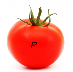 Tomatoe P