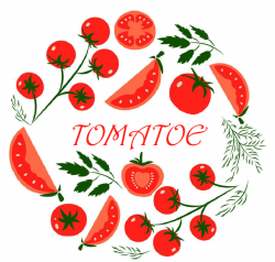 Tomatoe A