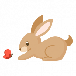 Conejos