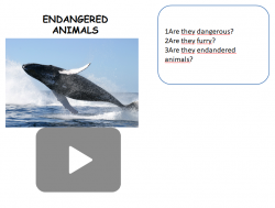 Endangered animals