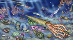 Fósiles del Paleozoico